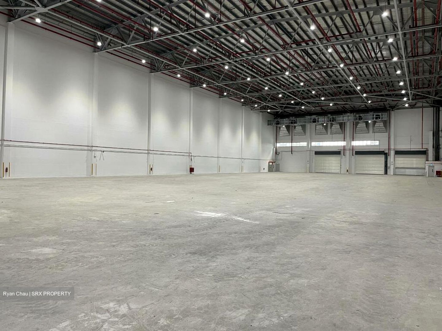 Loyang Industrial Estate (D17), Warehouse #506910821